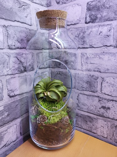 Queen airplant large glass - queen,
