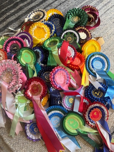 Vintage horse riding rosettes - horse,