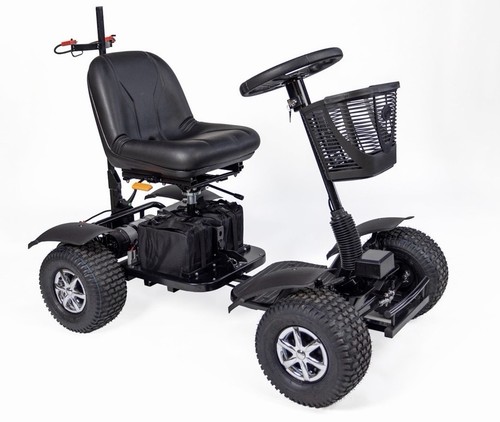 The golf buggy - the,