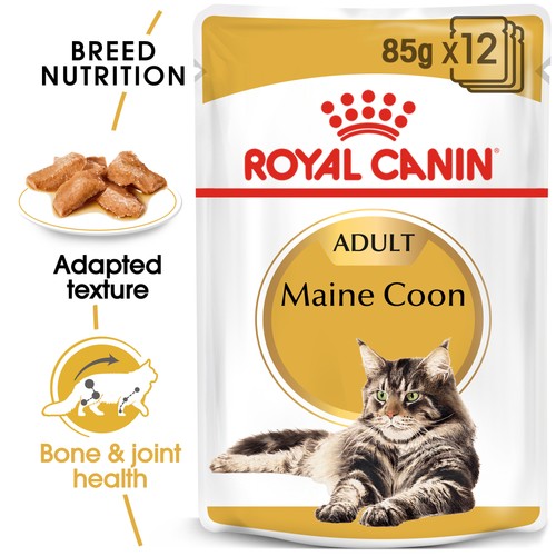 Royal canin maine coon - maine,
