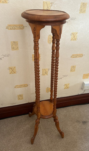 Large barley twist - plant, stand