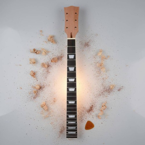 Les paul replacement neck - neck, easy