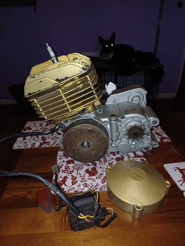 Gas 327 trials bike - gas, engine