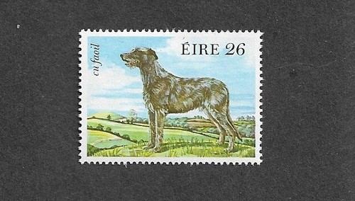 Dogs irish wolfhound 1983 - dogs,