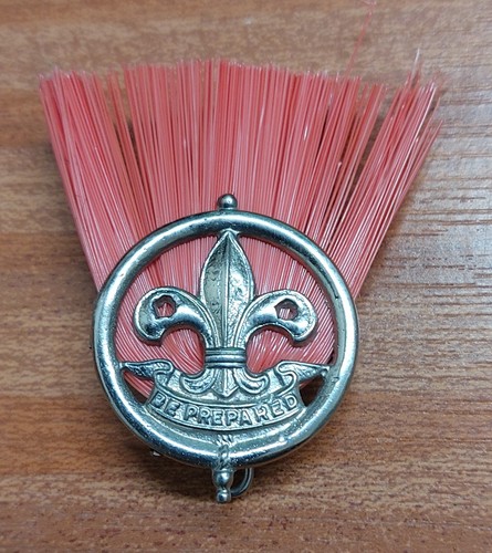Pre assistant scout leader - 67,