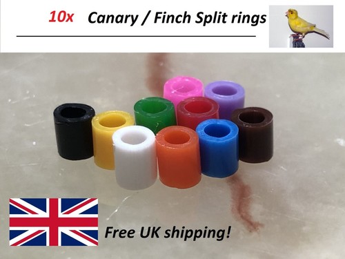 Bird split rings colours - split,