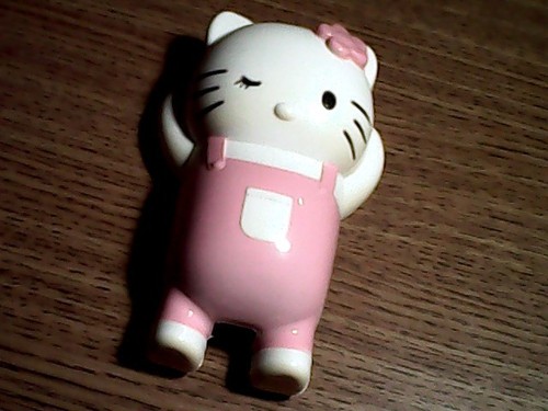 Kitty cat novelty - cat, touch