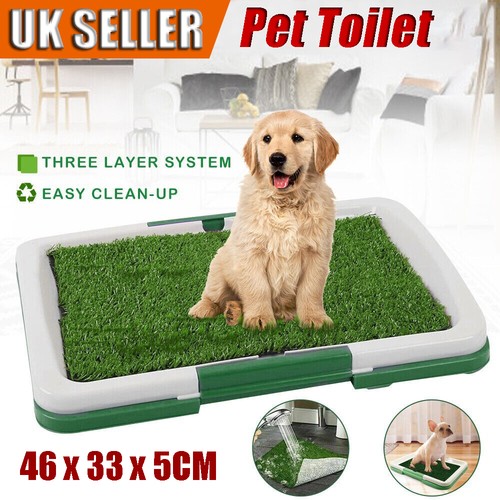 Large pet dog toilet - dog, mat