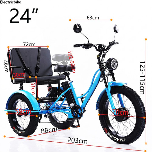 Electric fat tire trike - electric,