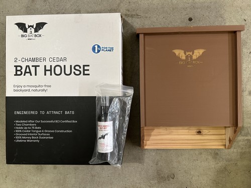 Big bat box - bat, wild