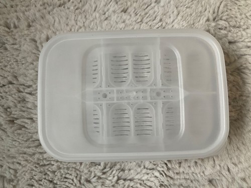 Reptile egg incubator tray - egg,