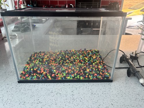Fish tank and - fish,