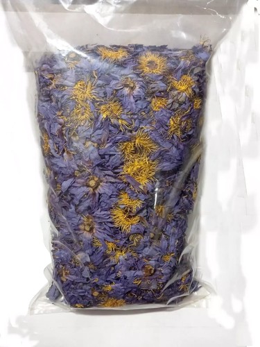 10g blue lotus nymphaea - blue,