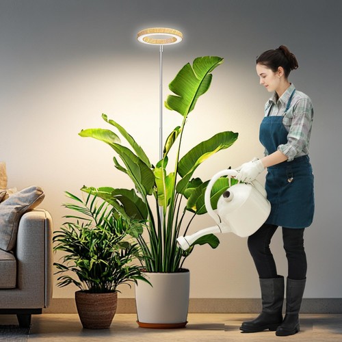 Grow lights for indoor plants - grow,