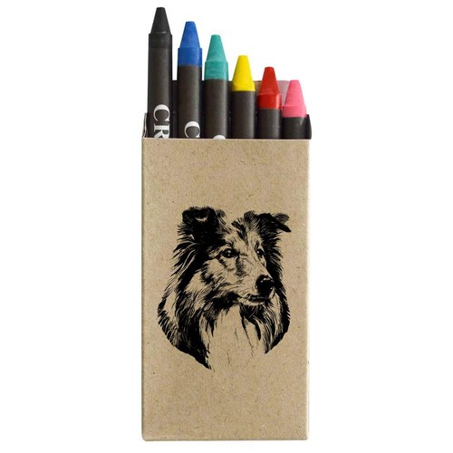Shetland sheepdog - 6, 'shetland