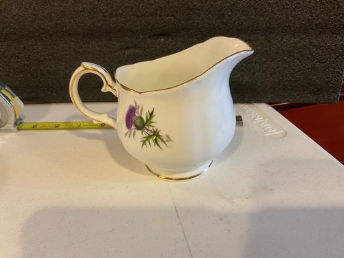 Duchess highland beauty - beauty, purple