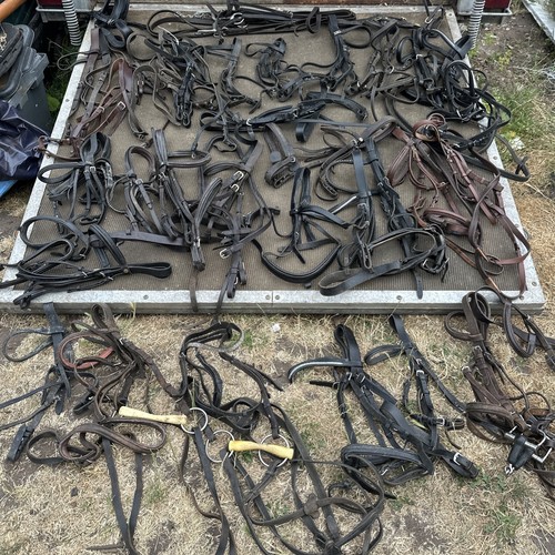 Job lot assorted - lot, bridles