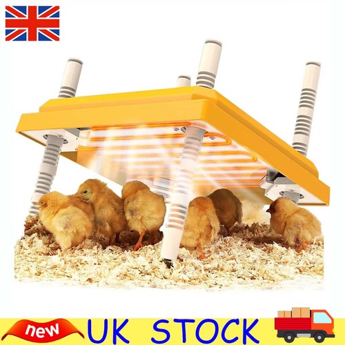 Adjustable chick brooder - adjustable,