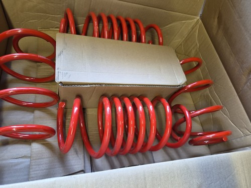 Prosport lowering springs - lowering,