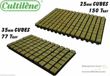 Hydroponics Cutting Cubes Tray