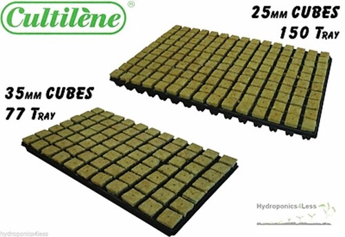 Hydroponics cutting cubes - cutting,