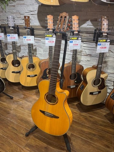 Yamaha ntx900fm electric gut - yamaha,