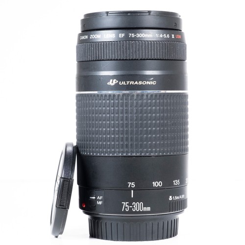 Canon 300mm 5 6 iii - canon,