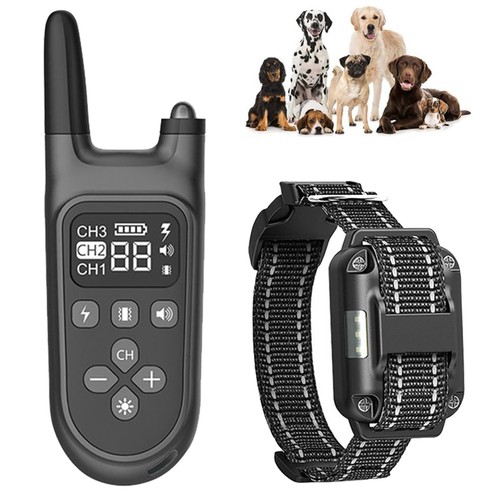 800m electric shock dog - 800m,