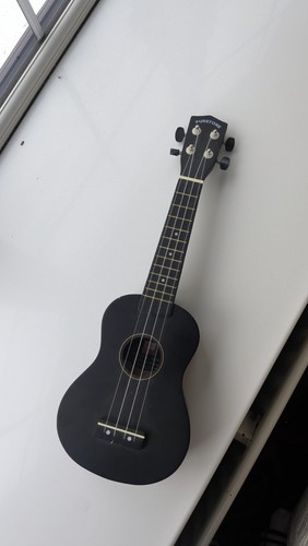 Ukulele beginners concert - beginners,