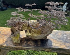Bonsai raft style wire