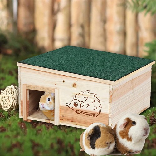 Predator proof hedgehog house - predator-proof,