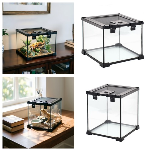Reptile glass terrarium - reptile,