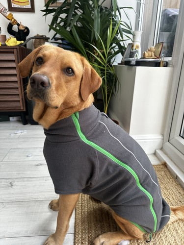 Ruffwear dog climate changer - ruffwear,