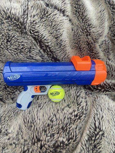 Dog toy nerf - dog, ball