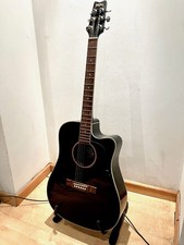 WASHBURN D10 SCEB Acoustic Guitar