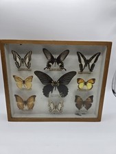 Vintage Collectable Framed