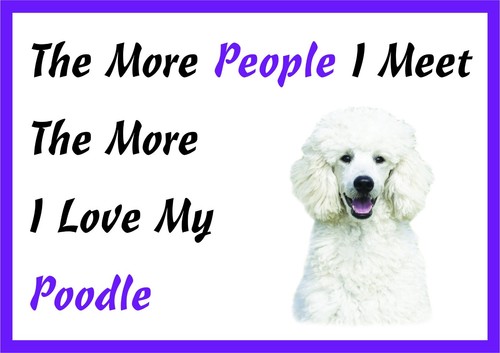 The more love white - the,