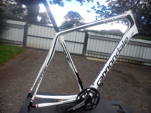 Cannondale synnapse carbon - cannondale,