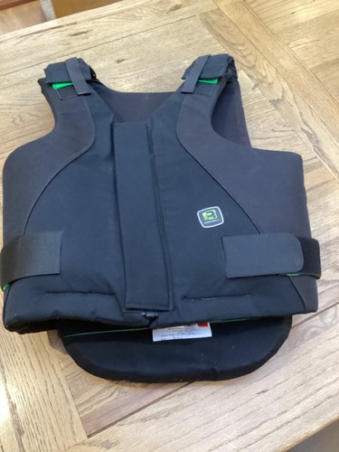 Rodney powell body - body, protector
