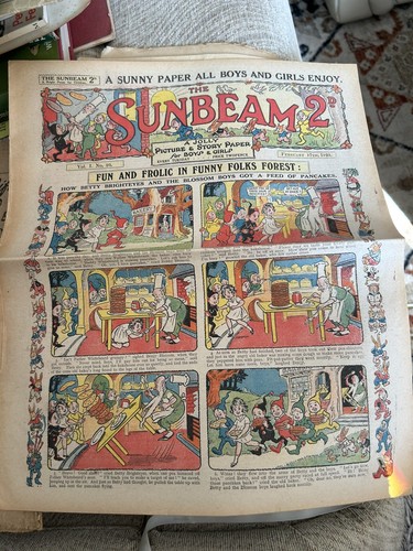 The sunbeam comic vol no - sunbeam, comic.