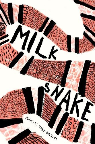 Toby buckley milk snake - buckley,