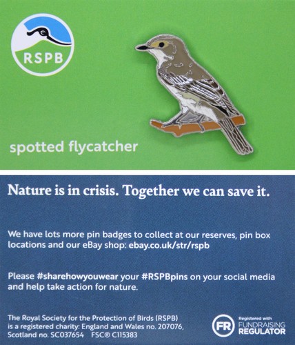 Rspb pin badge - rspb, spotted