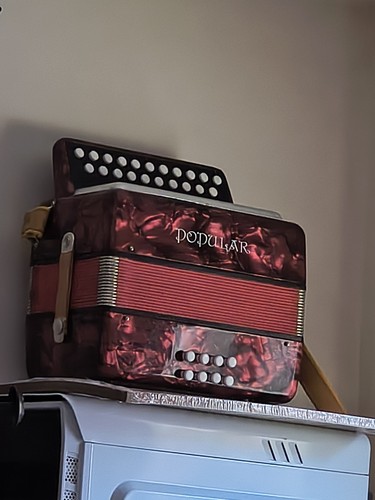 Accordion case delecia - case, /