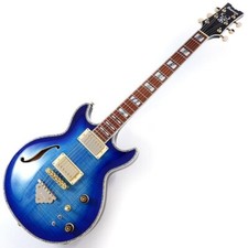 Ibanez Electric guitar