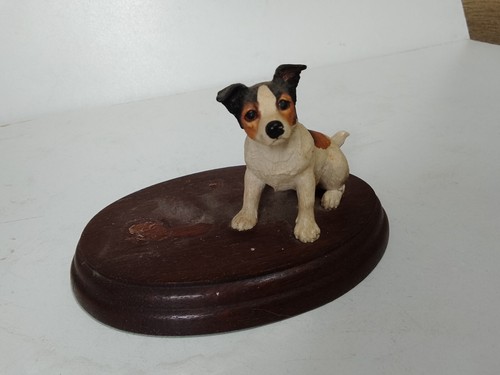Jack russell terrier - russell, border