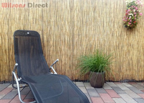 Natural thick reed - natural,
