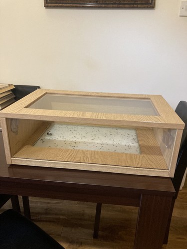 Reptile vivarium used - reptile,