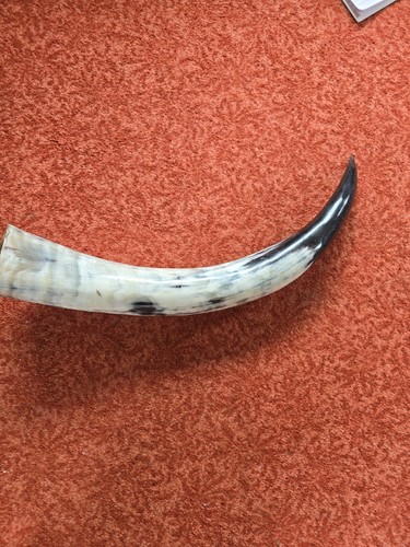 Viking buffalo horn - viking,