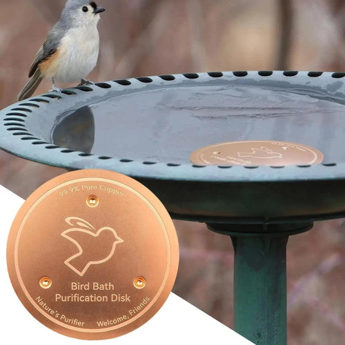 Bird bath copper disk pure - bath,