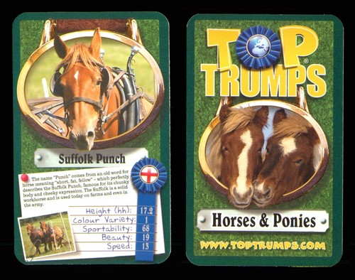 Info card suffolk - 1,